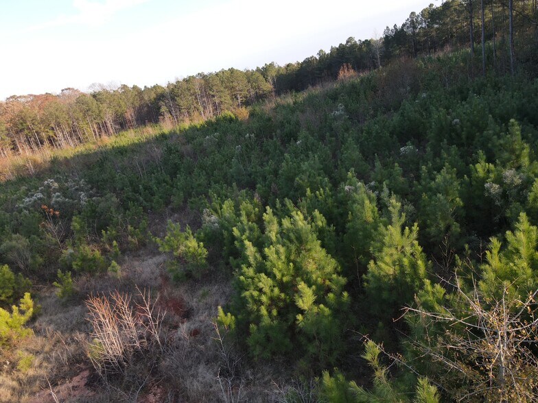 Sc-56 Hwy, Clinton, SC à vendre - Aérien - Image 3 de 9