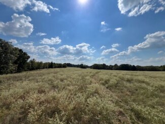 More details for 21805 U.S. HWY 69S hwy, Bullard, TX - Land for Sale