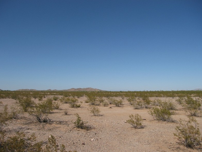 355th & Indian School Rd, Tonopah, AZ à vendre - Photo principale - Image 1 de 1