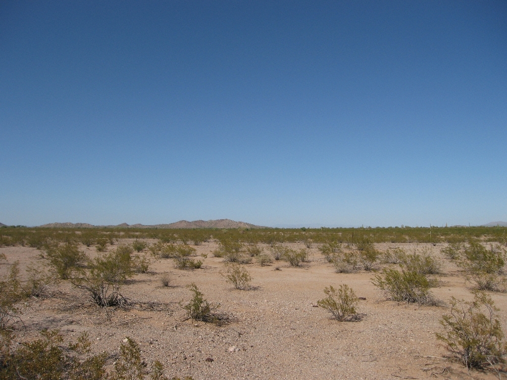 355th & Indian School Rd, Tonopah, AZ à vendre Photo principale- Image 1 de 2