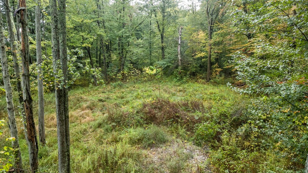 5001 Babbitt Rd, New Albany, OH à vendre - Photo du bâtiment - Image 3 de 15