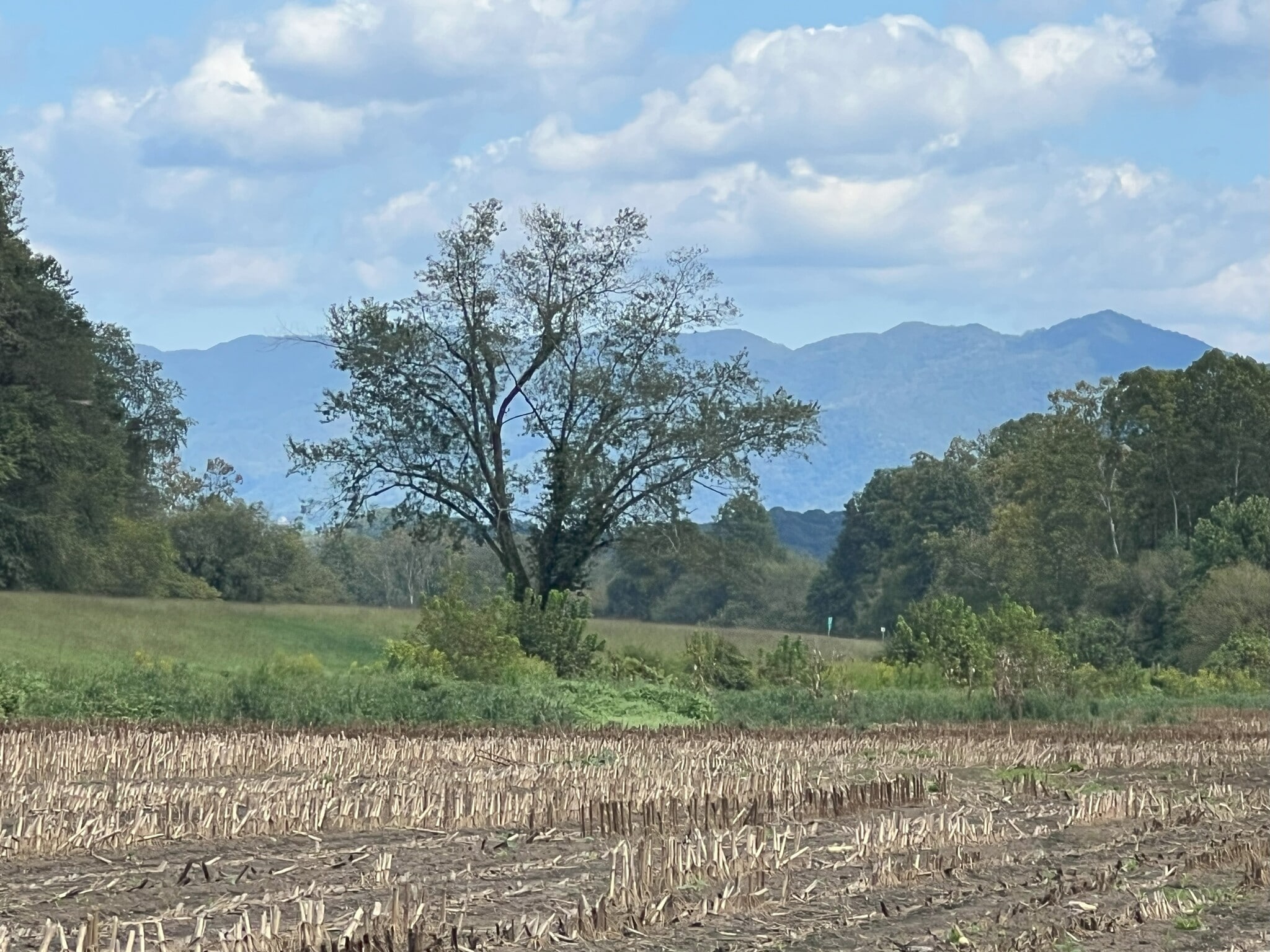 3480 Airport Rd, Marble, NC for sale Primary Photo- Image 1 of 19