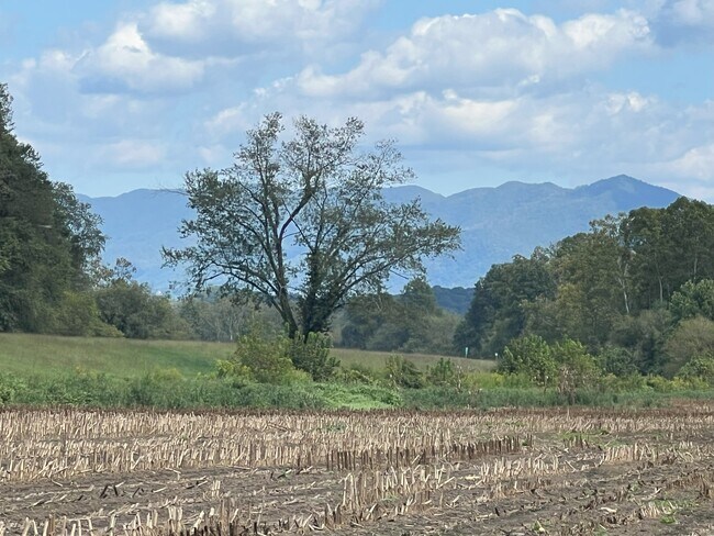 Plus de détails pour 3480 Airport Rd, Marble, NC - Terrain à vendre