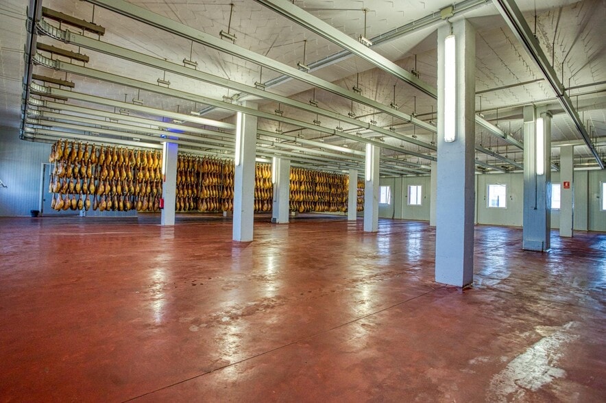 Industrial in Ávila, Ávila for sale - Interior Photo - Image 2 of 31
