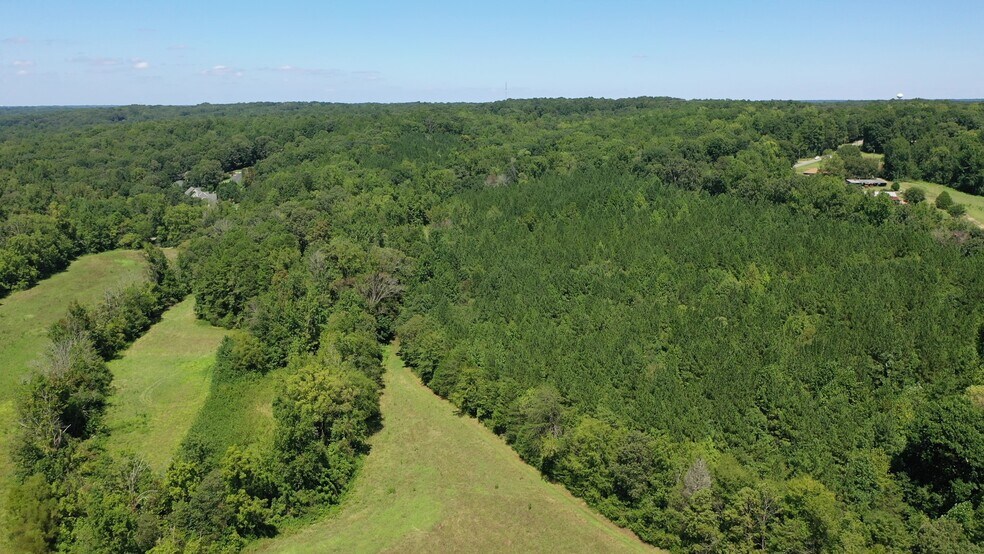 4303 Davidson, Davidson, NC à vendre - Photo du bâtiment - Image 3 de 10