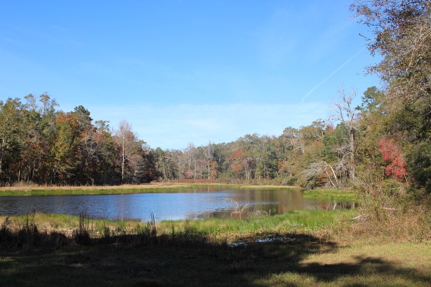 4433 Pat Thomas Pky, Quincy, FL for sale - Building Photo - Image 3 of 42