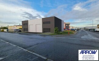 Plus de détails pour Flex à vendre