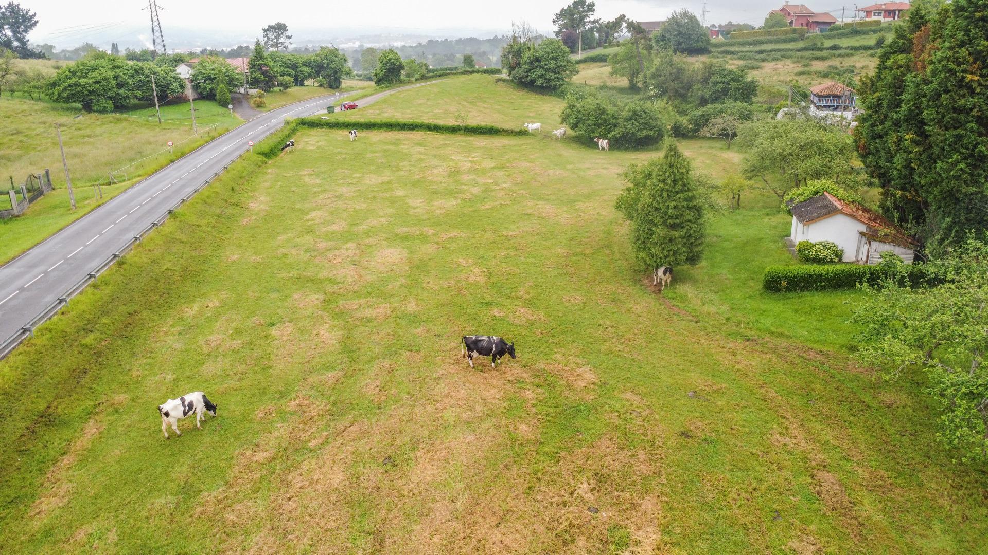 Campana, 12, Llanera, Asturias for sale Aerial- Image 1 of 35