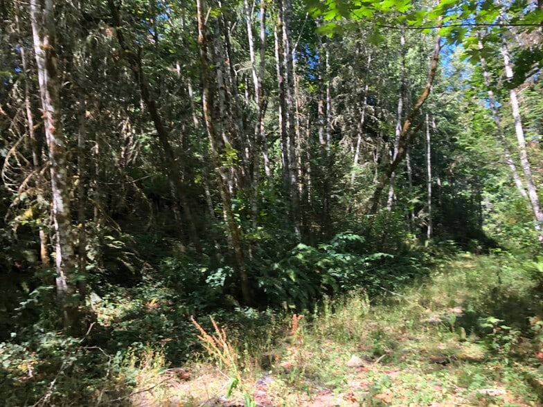 XXX Phillips, Port Orchard, WA for sale - Other - Image 2 of 3