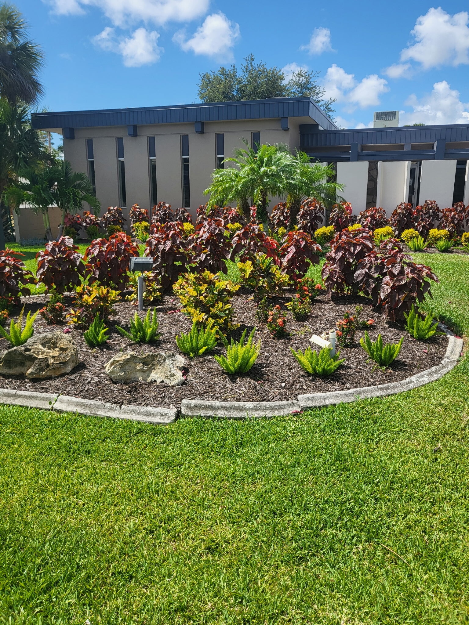 895 Barton Blvd, Rockledge, FL for lease Building Photo- Image 1 of 5