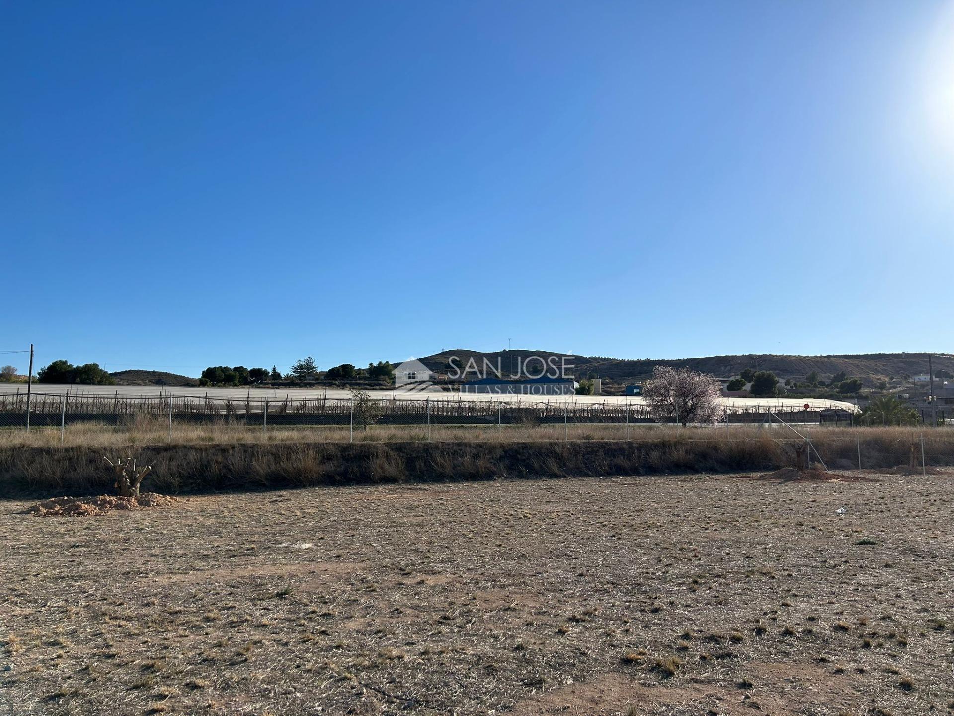 Land in Aspe, Alicante for sale Primary Photo- Image 1 of 11