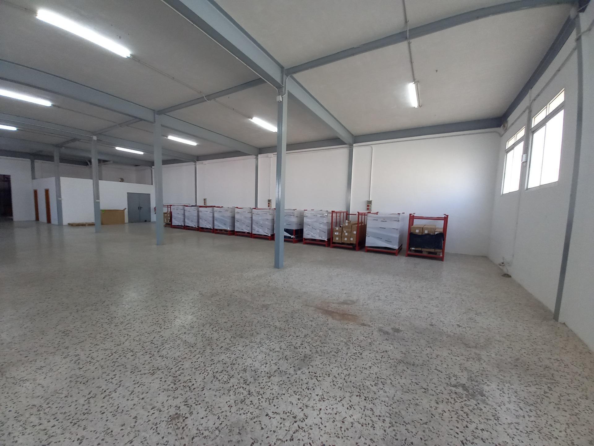 Industrial in Elche for lease Building Photo- Image 1 of 11