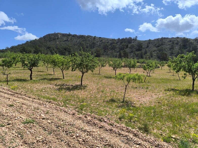 Land in Algueña, Alicante for sale - Building Photo - Image 3 of 4