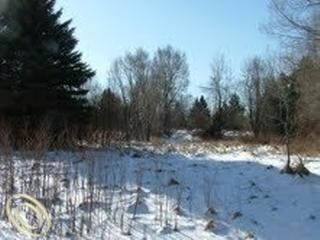 823 N Lapeer Rd, Orion Township, MI à louer - Photo du bâtiment - Image 3 de 3