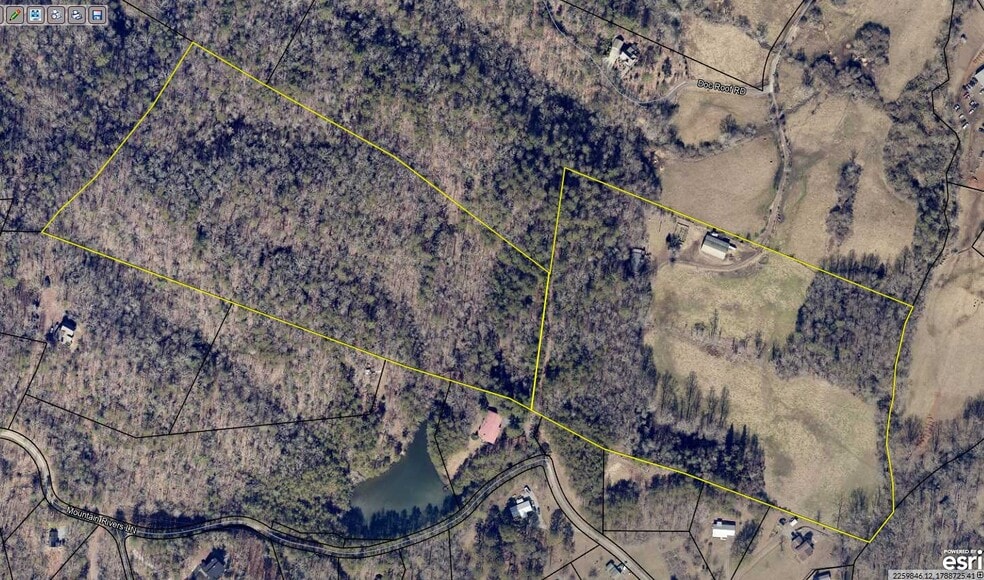 141 Doc Roof Rd, Mineral Bluff, GA à vendre - Photo du bâtiment - Image 2 de 12