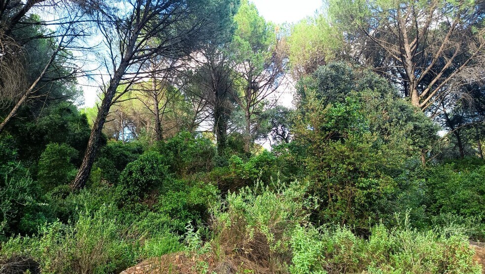 Land in Córdoba, Córdoba for sale - Primary Photo - Image 2 of 6