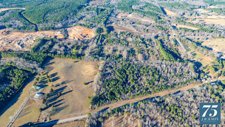 Plus de détails pour Lone Oak Rd, Lone Oak, GA - Terrain à vendre