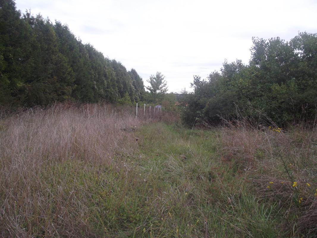 Land in Chavanges for sale Site Plan- Image 1 of 3
