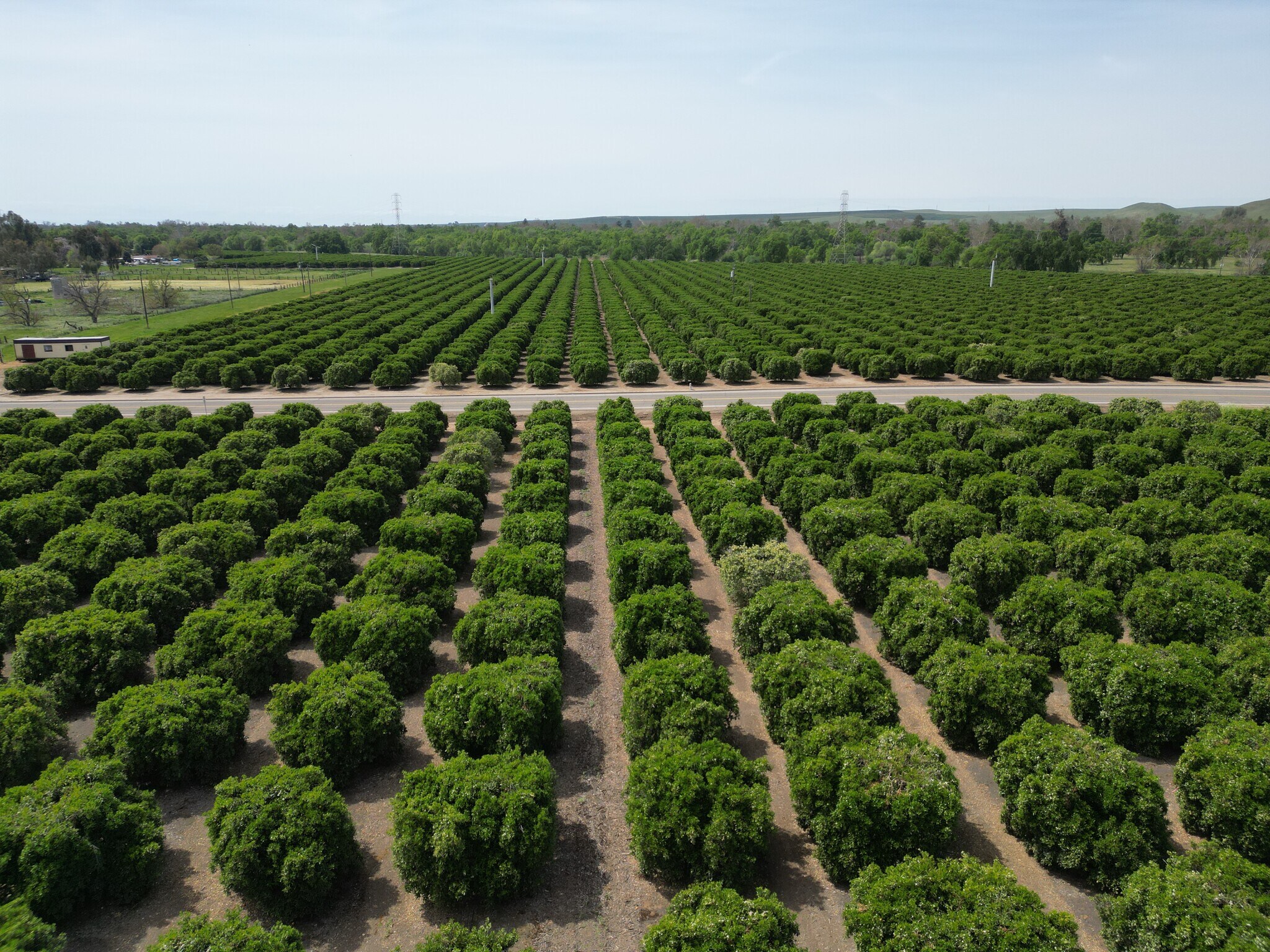 21998 Weldon ave, Sanger, CA for sale Primary Photo- Image 1 of 14