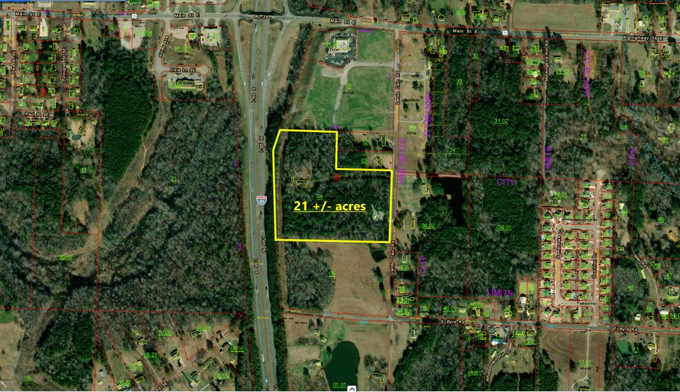 125 Lando Cain Rd, Hartselle, AL à vendre - Photo du bâtiment - Image 2 de 8