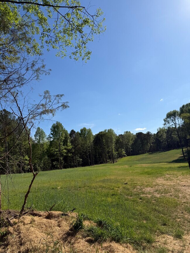 More details for 6215 GA-155 N, Stockbridge, GA - Land for Sale