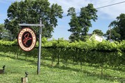 Jean Farris Winery - Vignoble