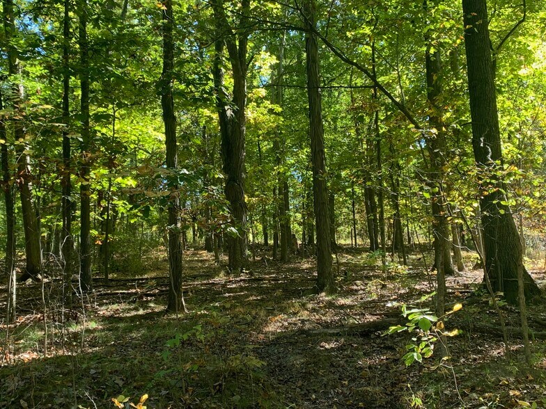 19345 Ridge Rd, North Royalton, OH à vendre - Photo du bâtiment - Image 3 de 39