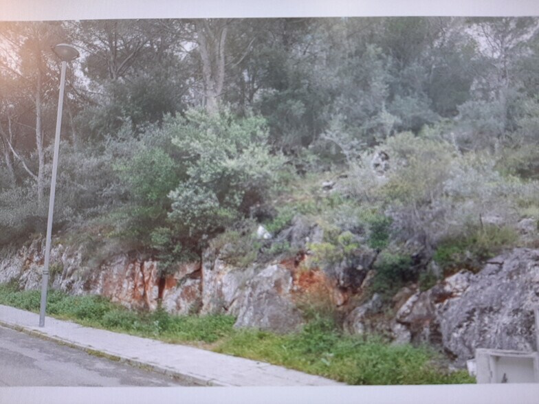 Land in Alzira, Valencia for sale - Primary Photo - Image 1 of 14