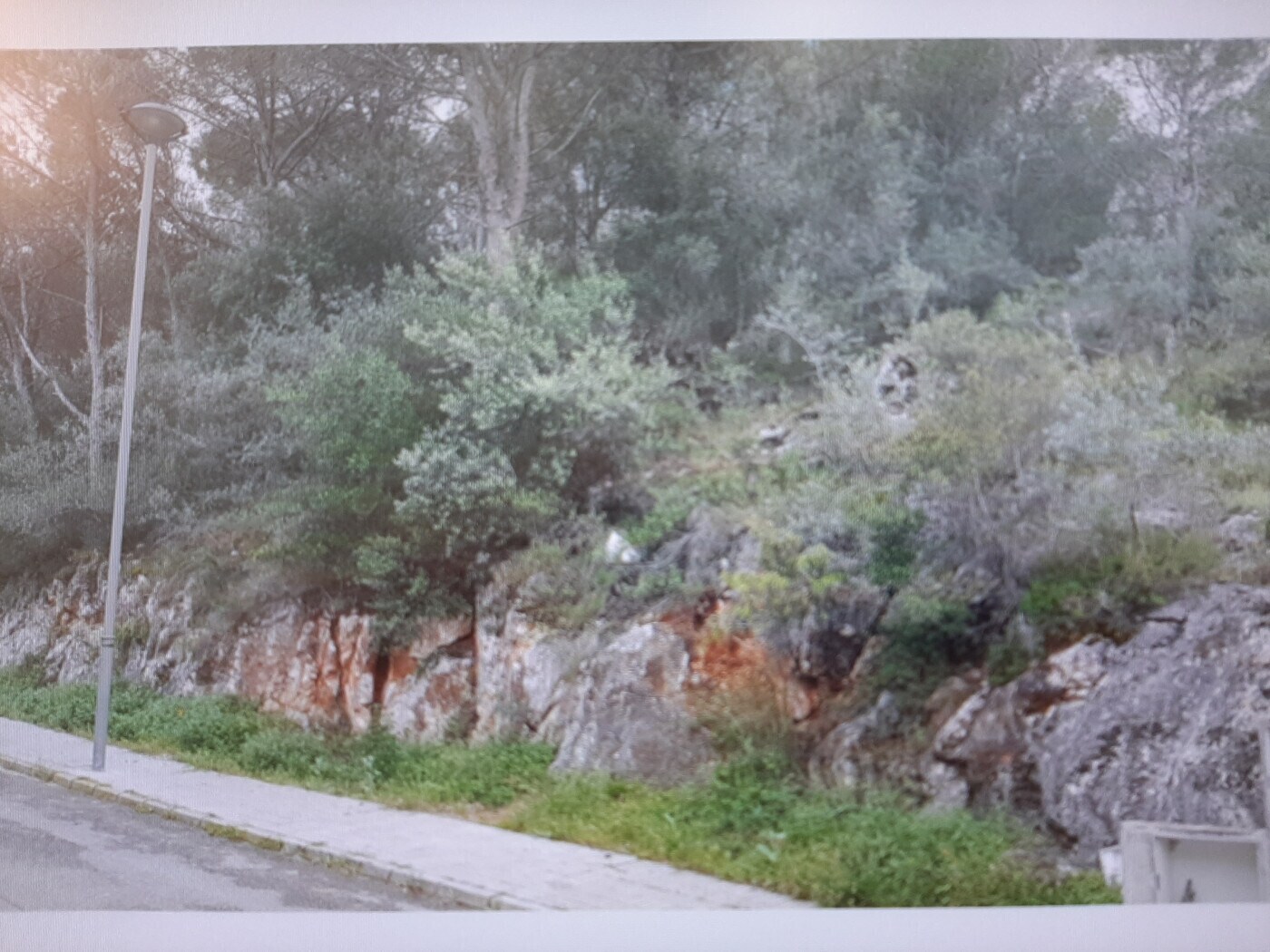 Land in Alzira, Valencia for sale Primary Photo- Image 1 of 15