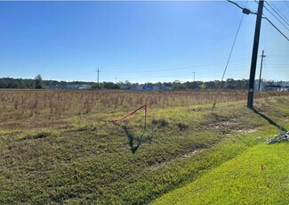 Plus de détails pour 0 S Old Hwy 63, Lucedale, MS - Terrain à vendre