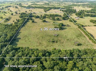 More details for TBD County Road 615, Farmersville, TX - Land for Sale