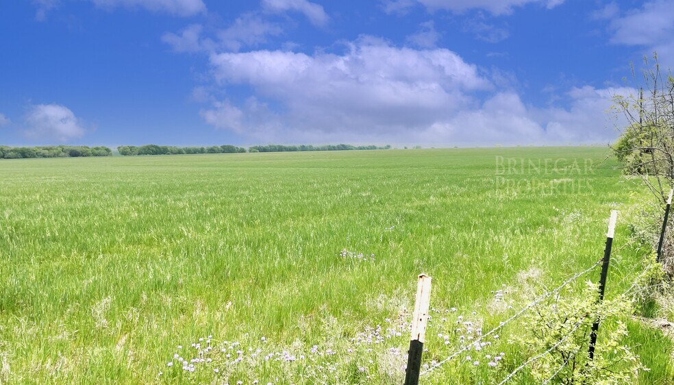 County Road 307, Jarrell, TX à vendre - Autre - Image 3 de 3