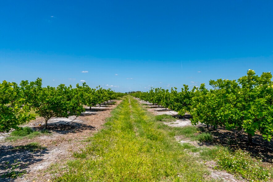 Hwy 31, Arcadia, FL à vendre - Photo du bâtiment - Image 1 de 12