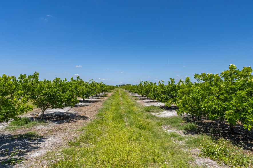 Hwy 31, Arcadia, FL à vendre - Photo principale - Image 3 de 11