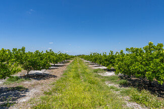 Plus de détails pour Hwy 31, Arcadia, FL - Terrain à vendre