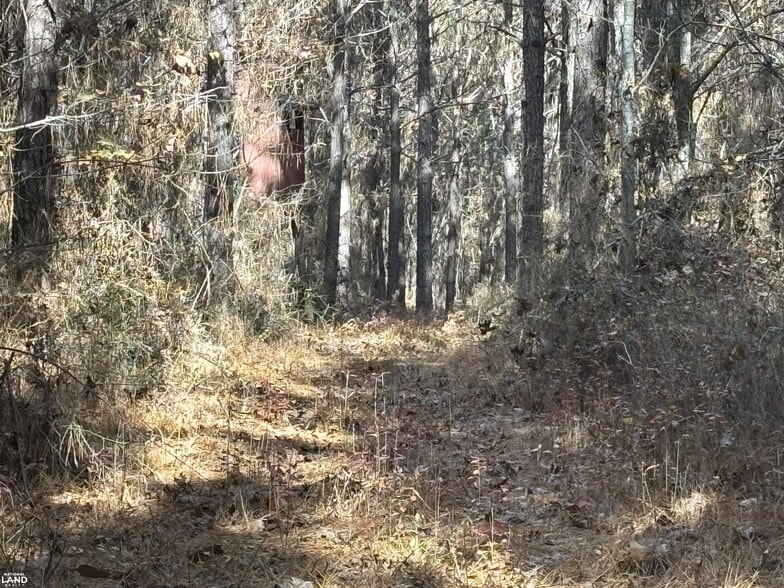 0 Old Beatty Ford Rd., Gold Hill, NC for sale - Other - Image 3 of 13