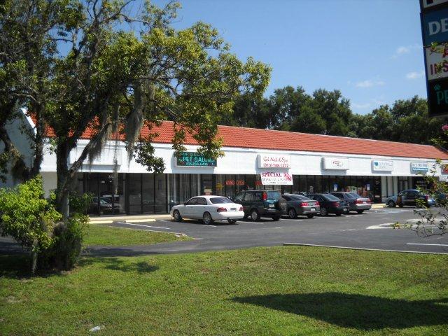 37031-37043 State Road 54, Zephyrhills, FL for lease - Building Photo - Image 2 of 4