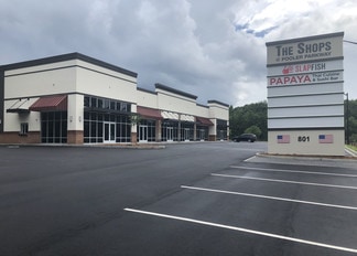 More details for 801 Pooler Pky, Pooler, GA - Office/Retail for Lease