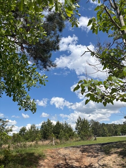 0 New Bethel Church Rd, Fitzgerald, GA for sale - Other - Image 2 of 10