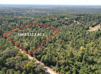 Plus de détails pour TBD Texas 43 hwy, Bivins, TX - Terrain à vendre