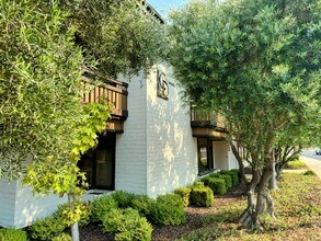 684-690 Alamo Pintado Rd, Solvang, CA for lease Interior Photo- Image 1 of 12