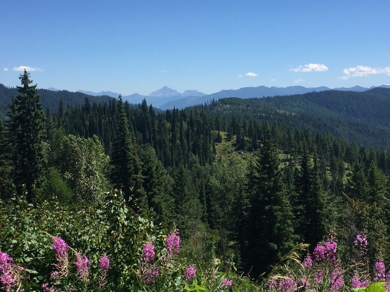 Ashley Lake View Overlook, Kalispell, MT à vendre - Autre - Image 3 de 6