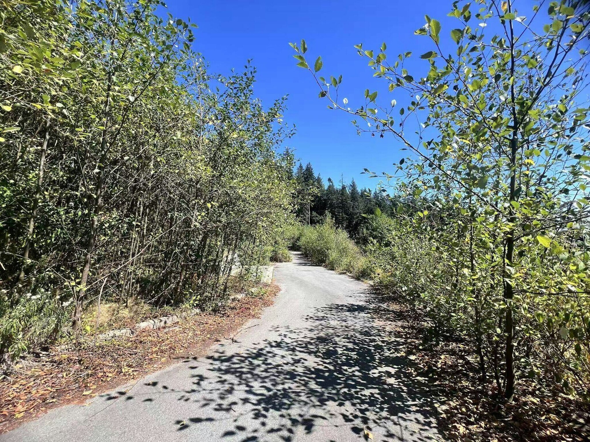 4140 Cypress Bowl Rd, West Vancouver, BC à vendre Autre- Image 1 de 3