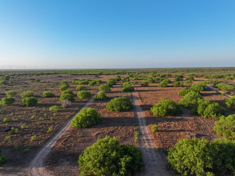 Las Brisas Road, Rio Grande City, TX for sale - Other - Image 2 of 35