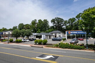 Plus de détails pour 344 Maple Ave, Vienna, VA - Commerce de détail à vendre