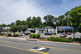 Plus de détails pour 344 Maple Ave, Vienna, VA - Commerce de détail à vendre