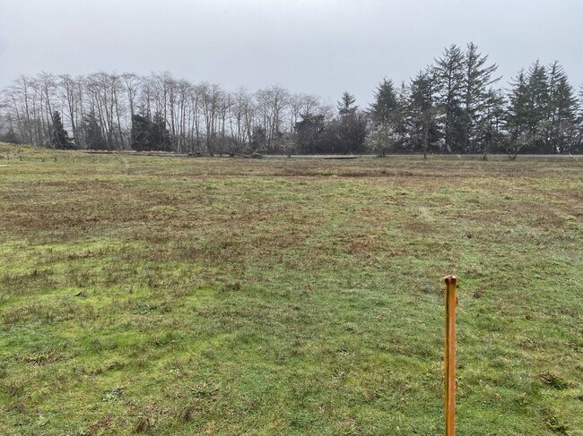 Plus de détails pour 2 Hughes ln, Ilwaco, WA - Terrain à louer