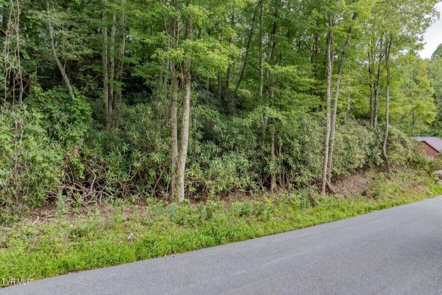 TBD Azen Rd, Damascus, VA à vendre - Aérien - Image 3 de 7