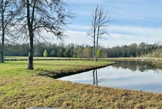 Plus de détails pour 1901 Lay Dam Rd, Clanton, AL - Terrain à vendre