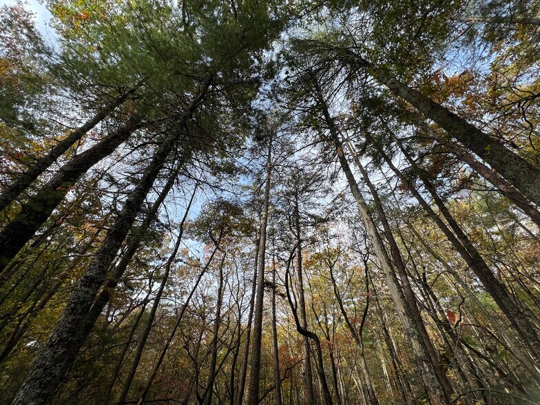 Zion Hill Road, Ellijay, GA à vendre - Photo principale - Image 2 de 13